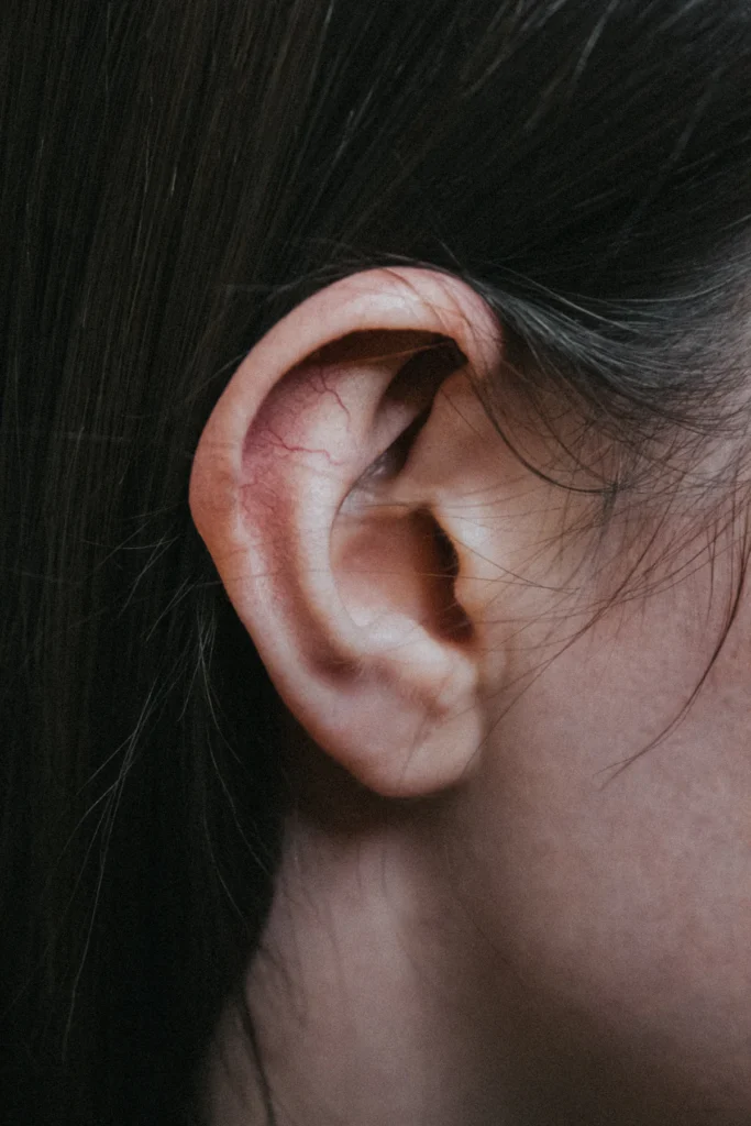 Close-up of the ear and earlobe