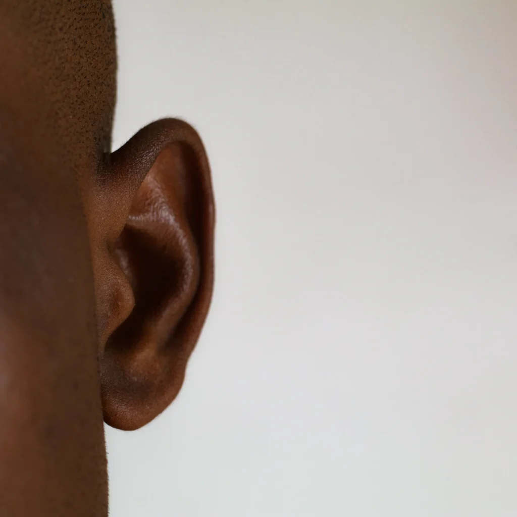 Close-up of the outer ear cartilage and fold